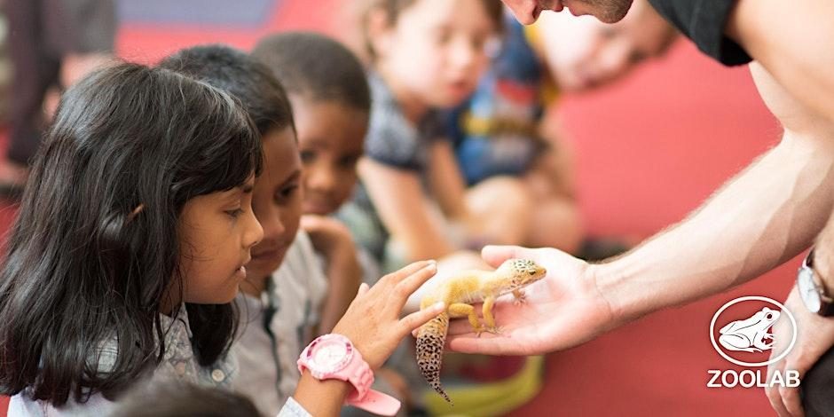 Animal Explorer Workshop at Trebah Garden