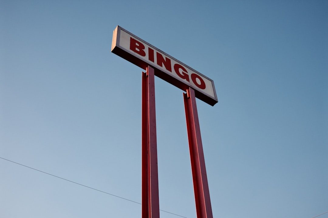 Bingo Bongo at YHA Treyarnon Bay