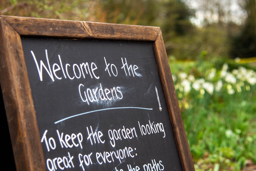 Charity Open Garden
