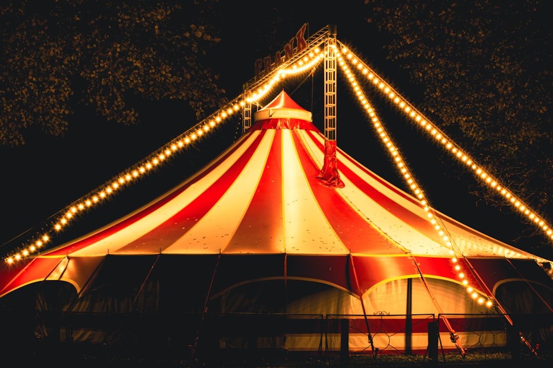 Circus Fun Day at Priory Park