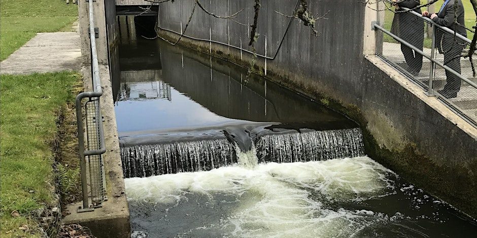 Climate Capability Walk & Talk - Truro River