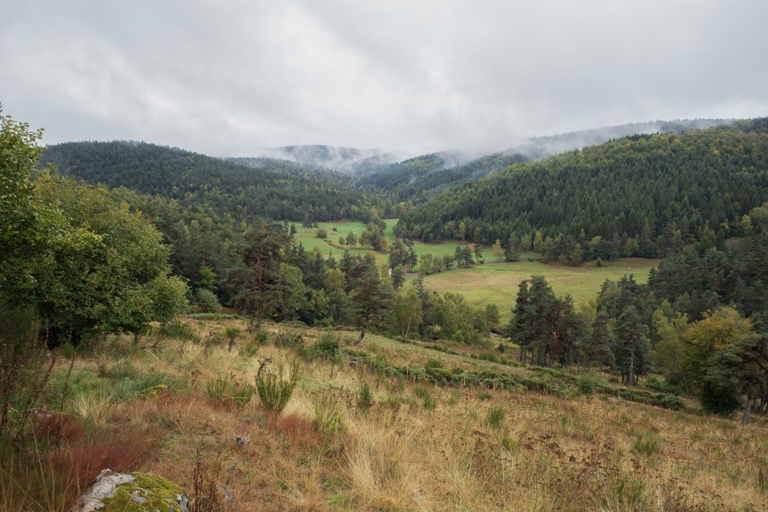 Guided Walk at Woodland Valley Farm