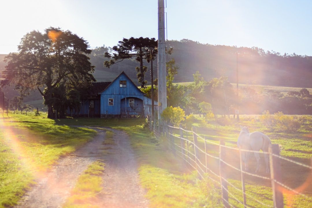 Country Hoedown at Killacourt, Newquay