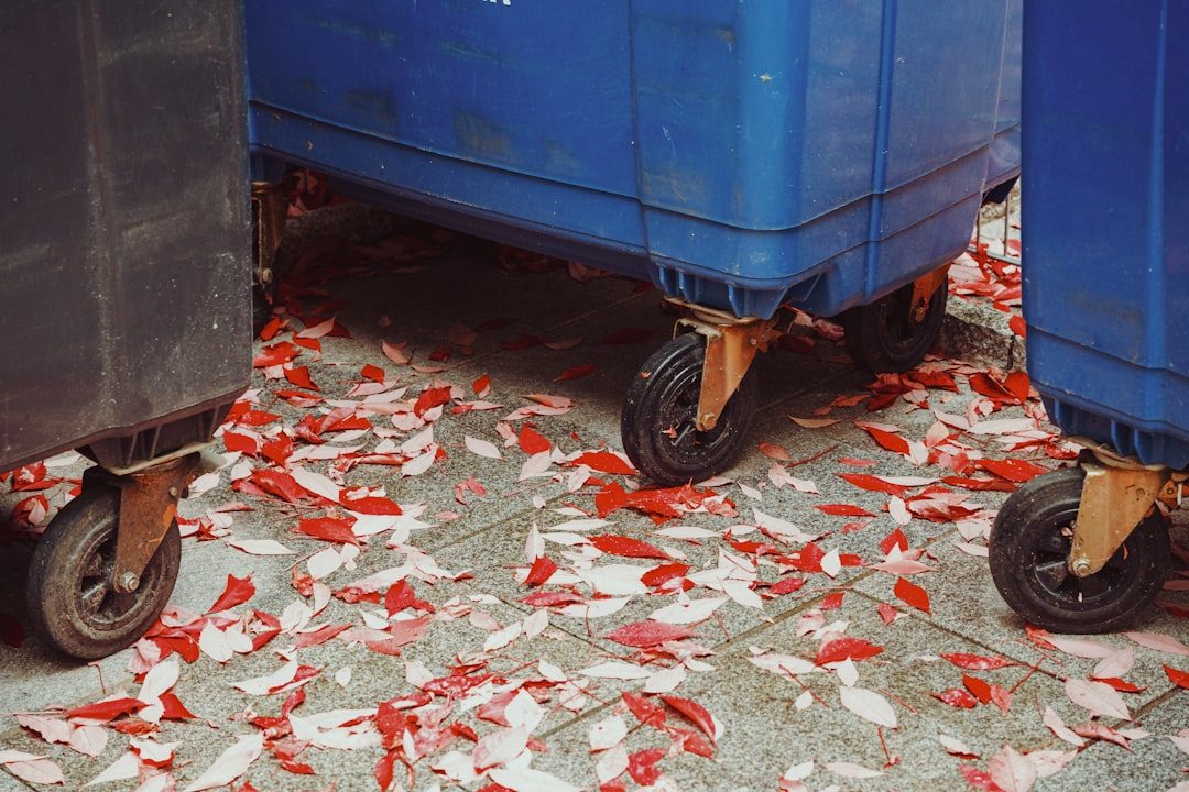 Crying Into Bins — Penzance