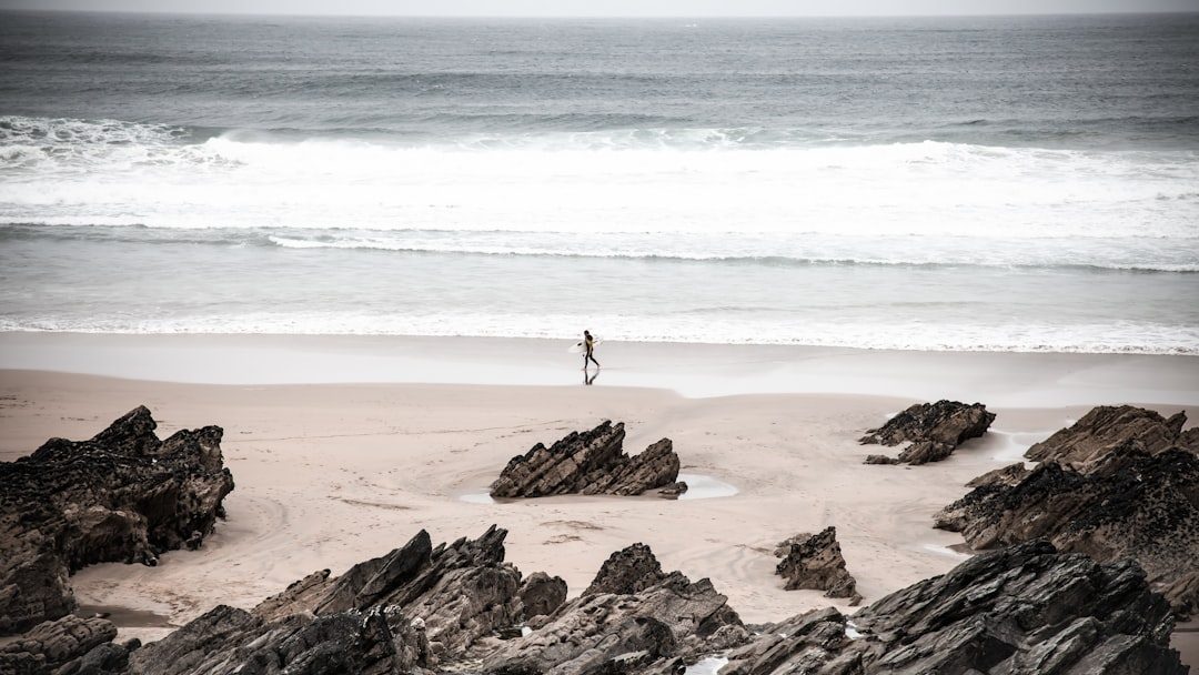 Quest for The Lost Words, Newquay