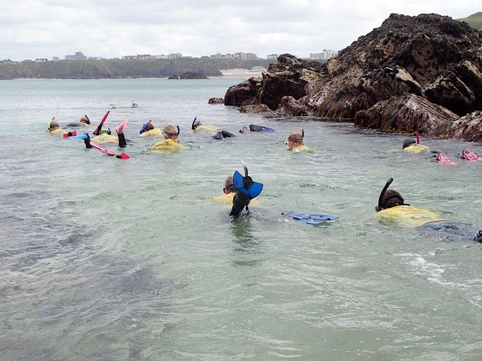 Free Snorkelling Taster Session