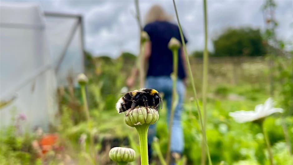Gardening for Wellbeing - evening drop in