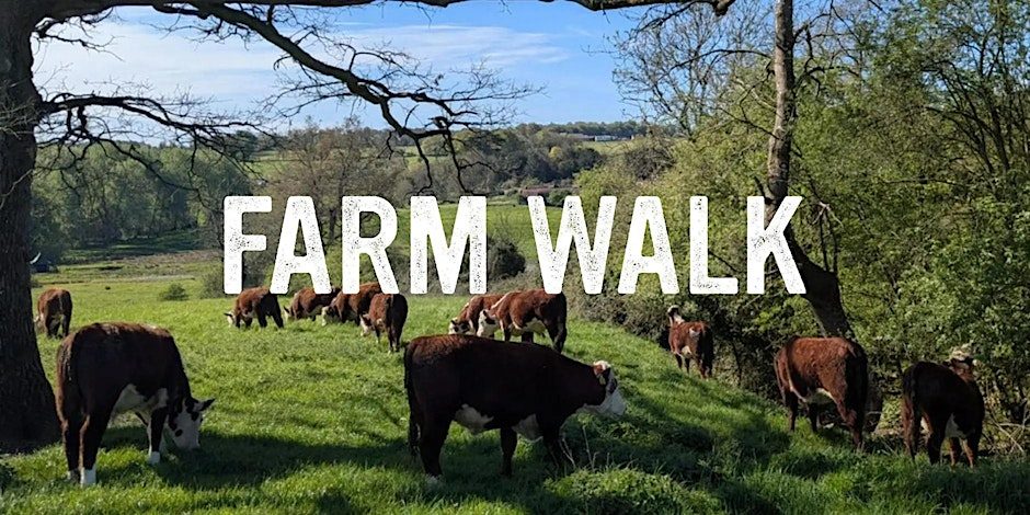 Grazing for Resilience at Treveddoe Farm