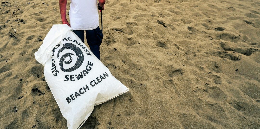 Hemmick Beach clean near Penare