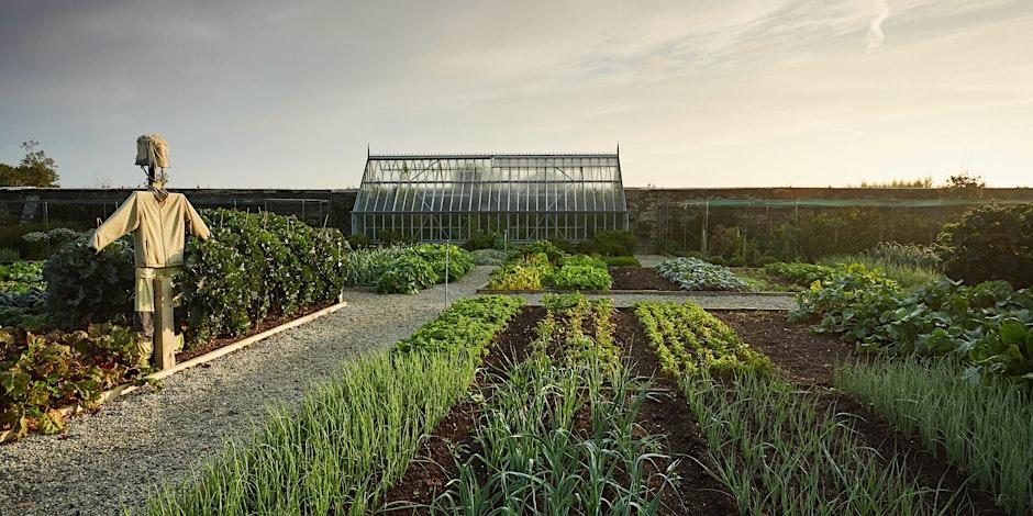 Kitchen garden tour and lunch at The Pig, Harlyn Bay