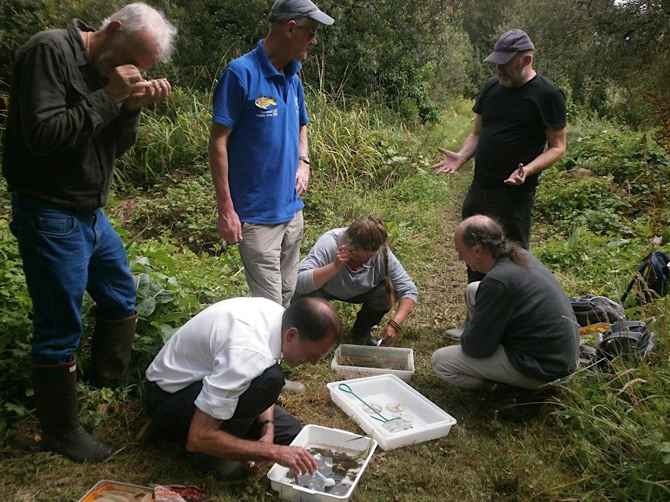 Leeches(ERCCIS Workshop)