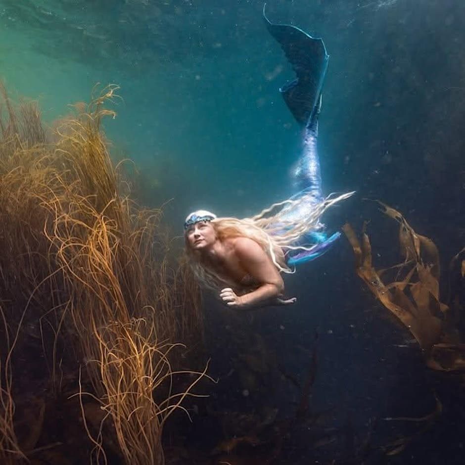 Mermaid Seafari from St Mawes