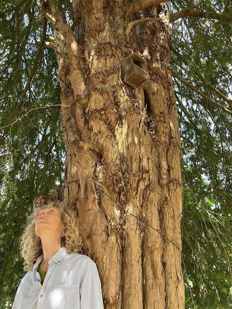 Moving Grief workshop with Sam Lawrence in Penryn