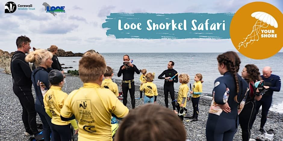 Looe Snorkel Safari at Hannafore Beach