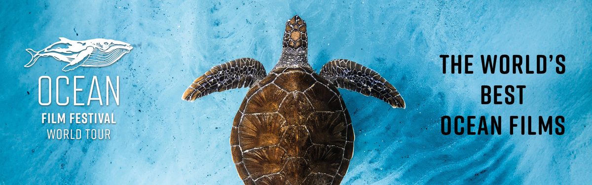 Ocean Film Festival at Hall for Cornwall
