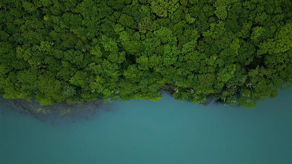 Ocean-forest connections research workshop