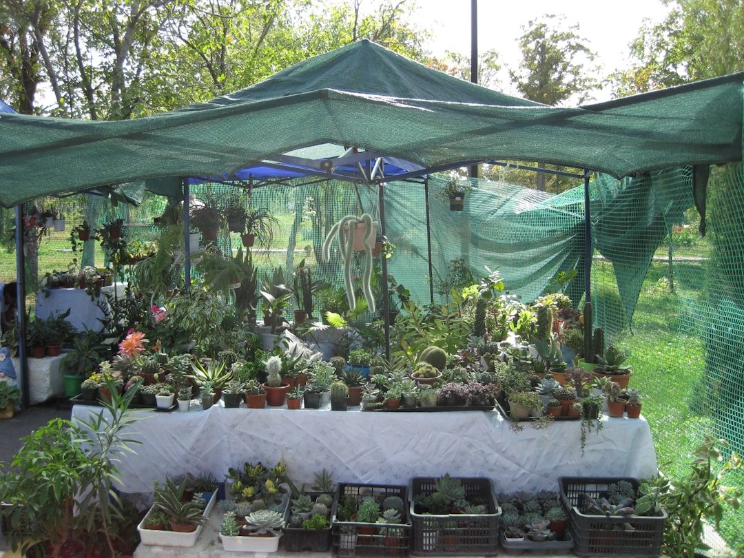 Plant Collectors at Glendurgan Garden