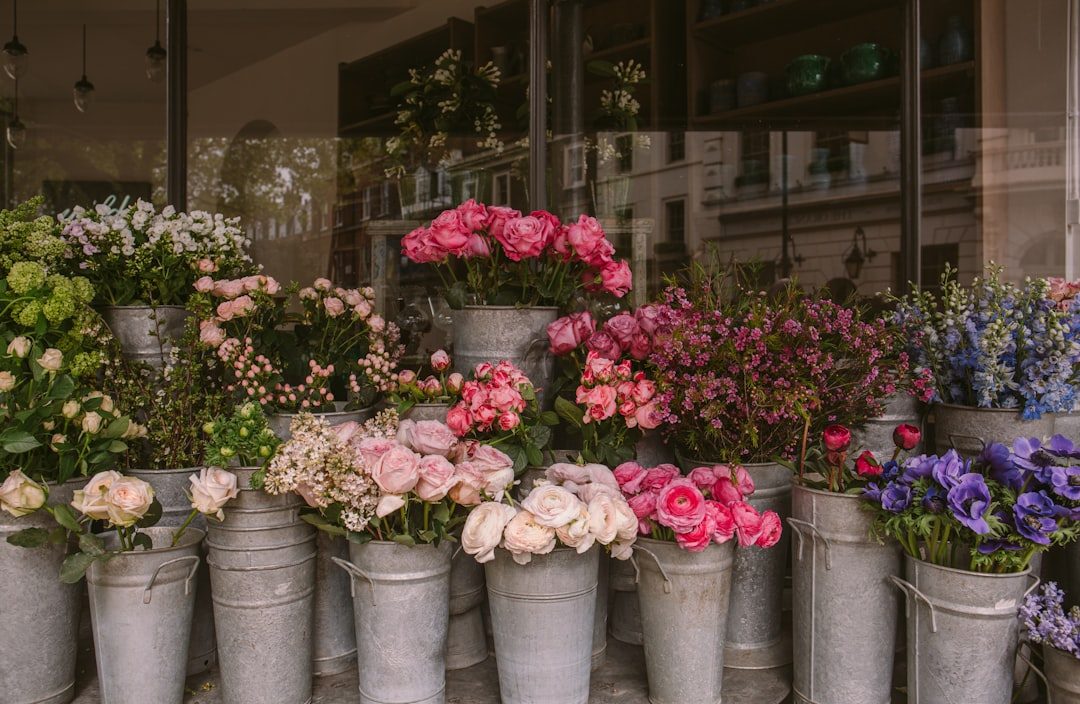 Pop-up Flower Shop at Morrab Gardens