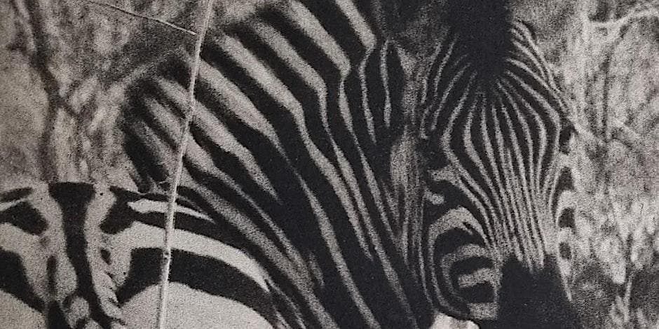 Photopolymer Etching Workshop, Penryn