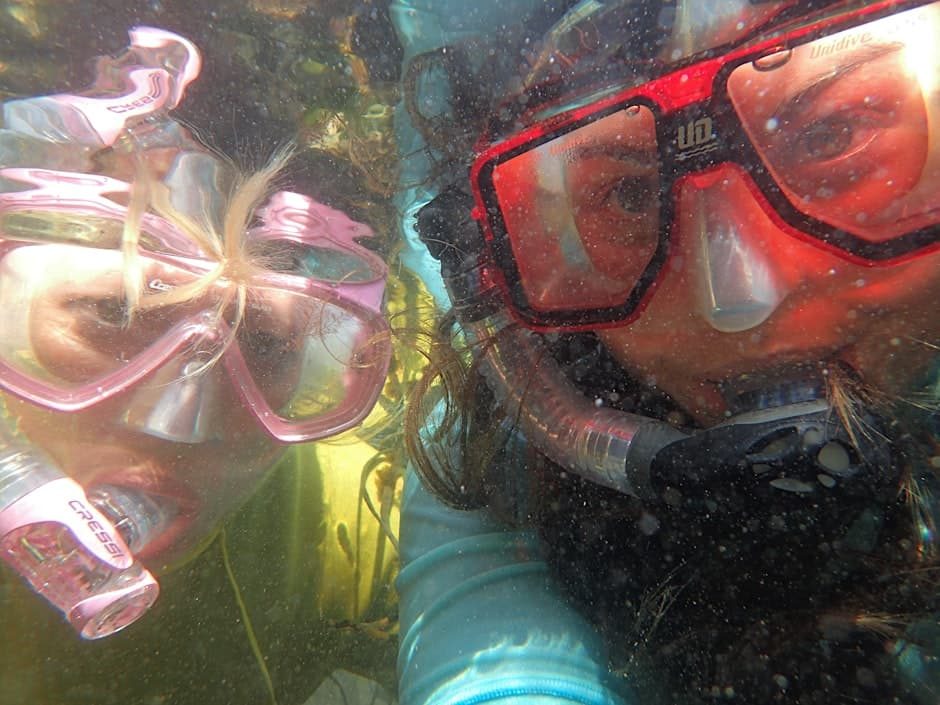 Radical Rockpooling at Cape Cornwall