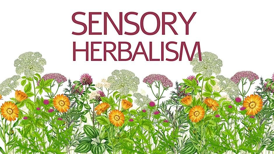 Sensory Plant Medicine Morning, Porthtowan