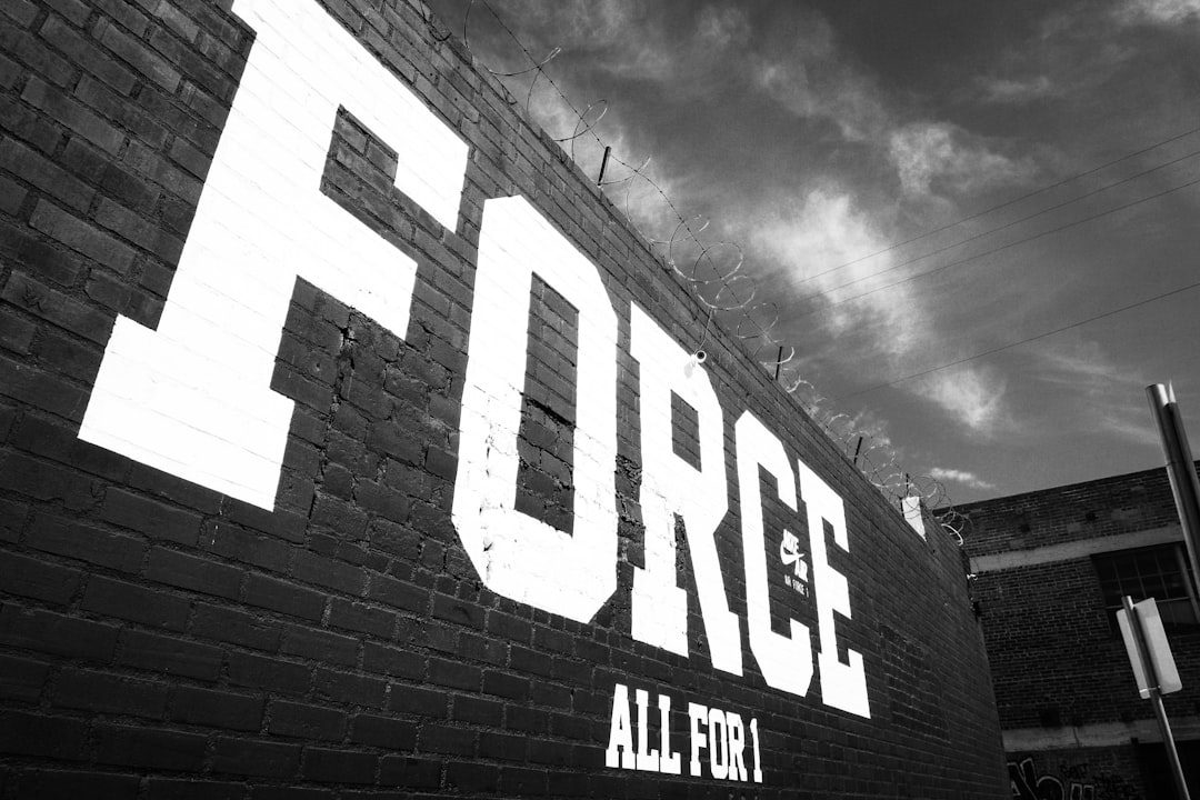 The Forcefields live at The Acorn