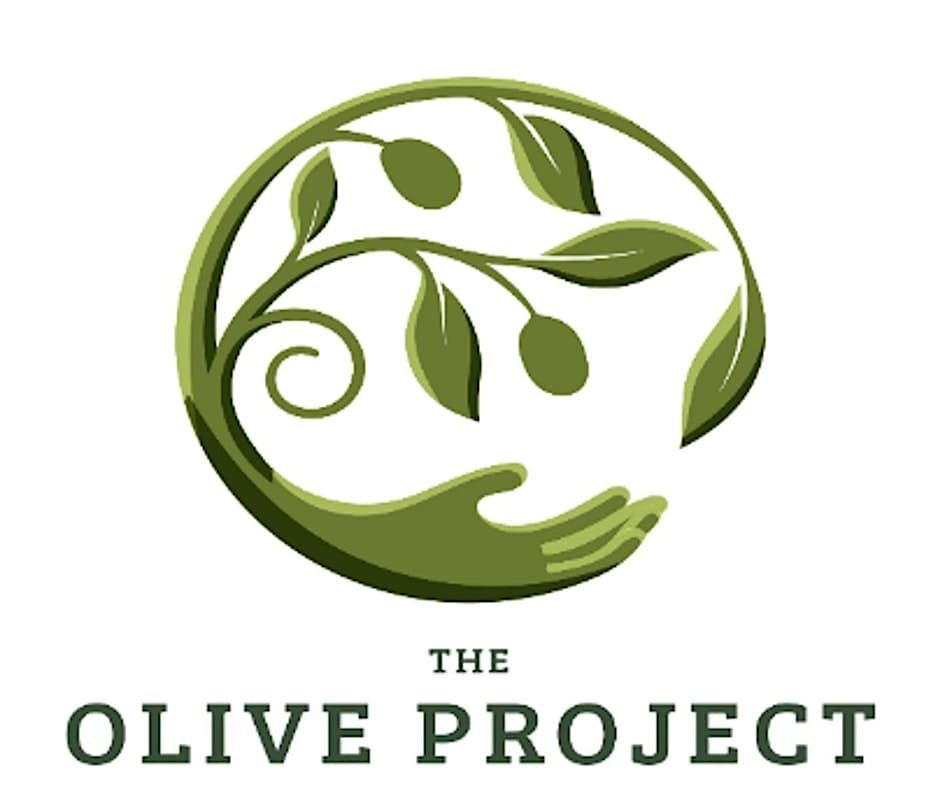 Anti-Opressive Practice Training — The Olive Project