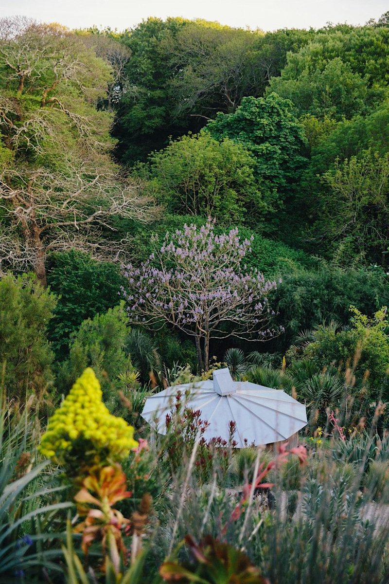 Coastal Garden and Dusk Skyspace Tour near Penzance