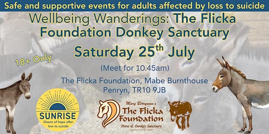 Wellbeing Wanderings: The Flicka Foundation Donkey Sanctuary