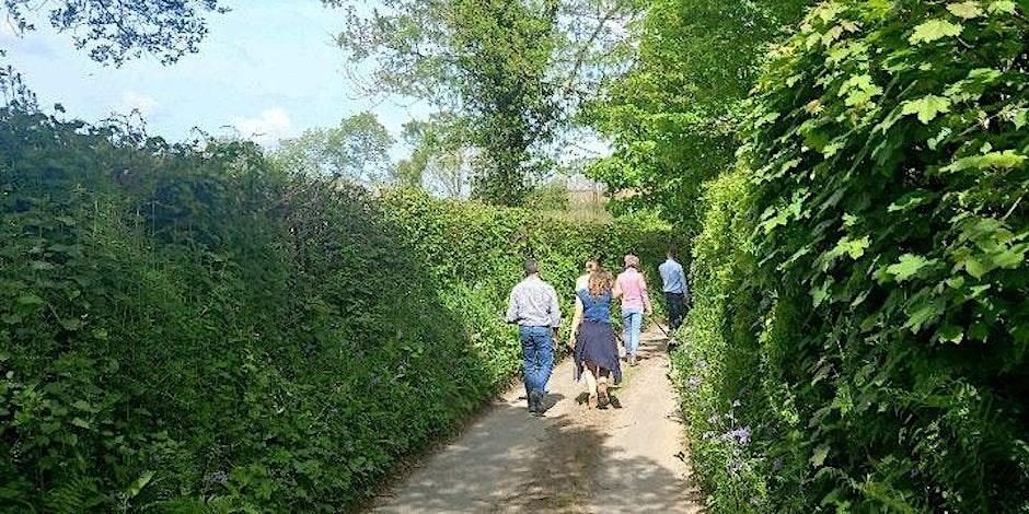 Netwalking at Tehidy Woods