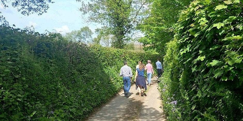 West Cornwall walking with Edward Chapman at Tehidy Woods.