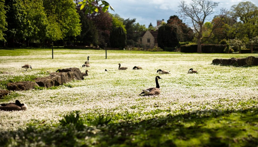 Wild Wonders at Priory Park, Bodmin