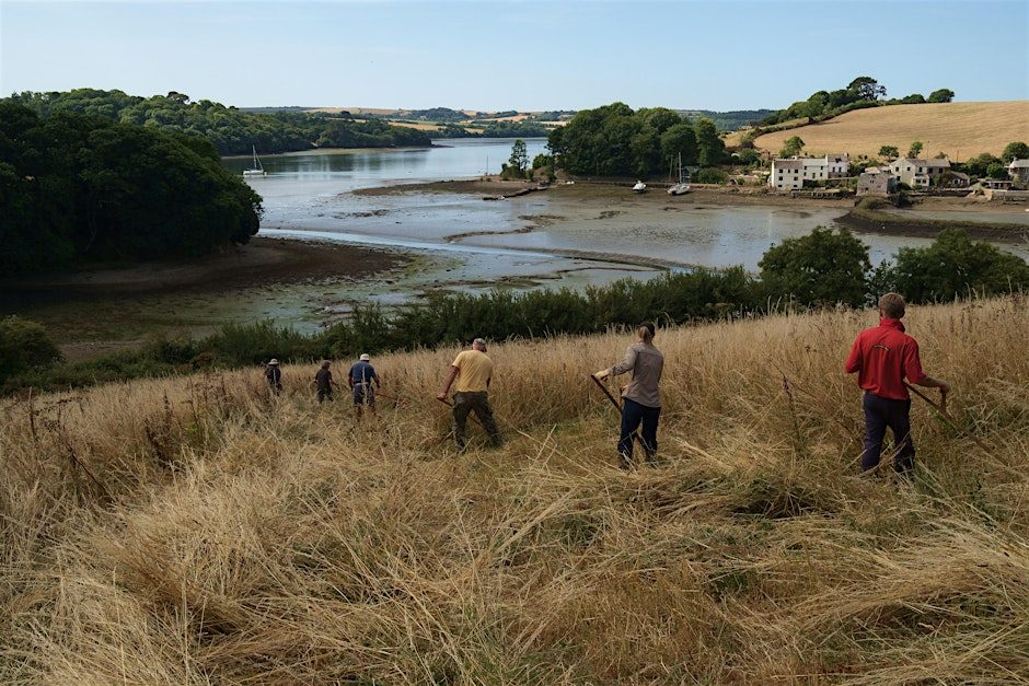 Scything workshop at Carn Moor